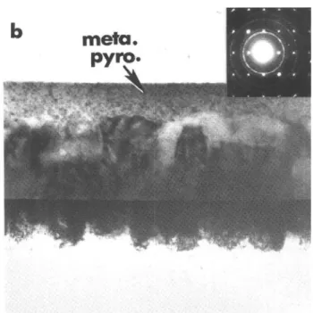 FIG. 4. TEM transverse section micrographs of 350 °C pyrolyzed PZT films RTA annealed at 600 °C for (a)  I s , (b) 2 s, (c) 5 s, and (d) 300 s