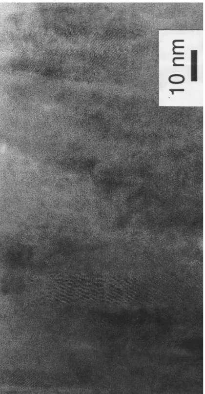 Figure 12. TEM image of an In 0.6 Ga 0.4 N film  grown at room temperature. The microstructure is  dominated by densely packed, vertical 10 nm  wide columns