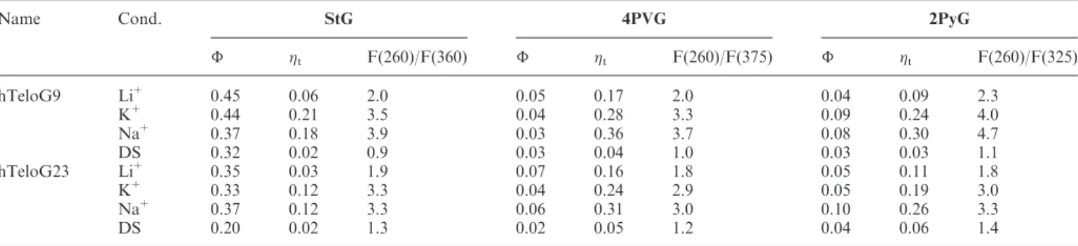 Table 1. Quantum yield (), DNA-to-probe energy transfer efﬁciency ( t ) and the ratio of ﬂuorescence intensities obtained upon excitation at 260 nm [F(260)] and at 360 nm [F(360)] for StG, 375 nm [F(375)] for 4PVG and 325 nm [F(325)] for 2PyG