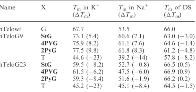 Table 2. Thermal denaturation melting temperatures (T m ) of single-stranded oligonucleotides in K + or Na + , and duplex samples (DSs) in Na + as determined by temperature-dependent CD Name X T m in K + (T m ) T m in Na +(Tm) T m of DS(Tm) hTelowt G 67.7 