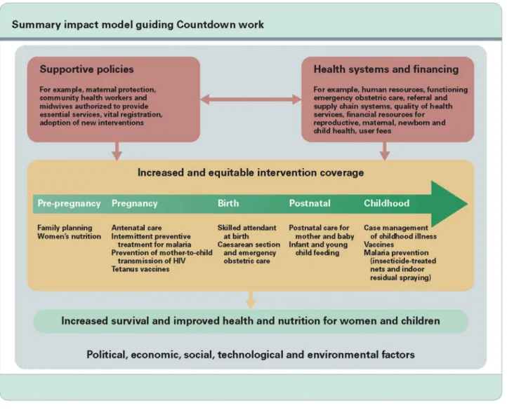 Figure 2. Impact model used by Countdown to 2015 for its analyses.