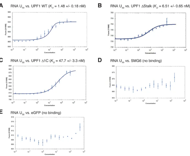 Figure 6. Purified UPF1  Stalk still interacts with RNA. (A–E) RNA binding studies using MicroScale Thermophoresis (MST)