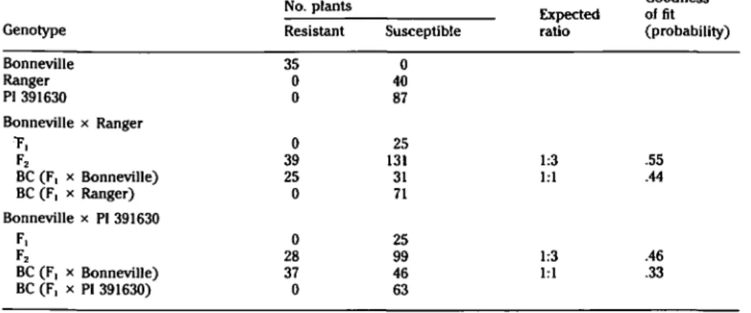 Table 1. Segregation ratios of cross and backcross populations of Pisam satioam lines resistant and susceptible to the NL-8 strain of bean common mosaic virus
