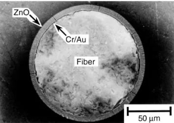 FIG. 12. SEM image showing the length uniformity of a Cr y Au y ZnO coating.