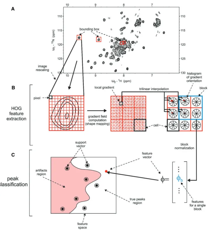 Fig. 1. Schematics showing the principle features of CV-Peak Picker. First, thousands of local extrema are identified in the 3D/4D spectrum (not shown) of interest.