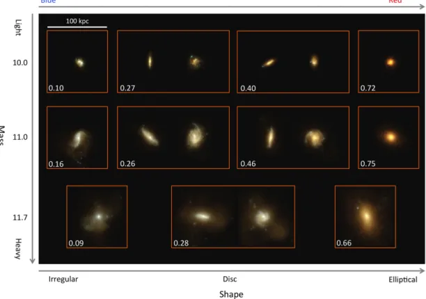 Figure 2. Stellar emission of a sample of galaxies in the Horizon-AGN simulation at z = 1.3 observed through rest-frame u, g and i filters