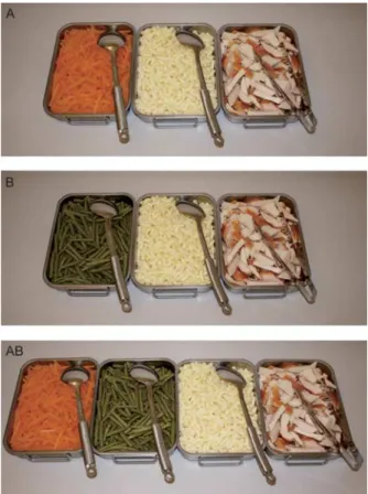 Fig. 1 Experimental conditions: condition A – carrots were offered along with pasta and chicken; condition B – beans were offered along with pasta and chicken; condition AB – both vegetables were offered in addition to chicken and pasta