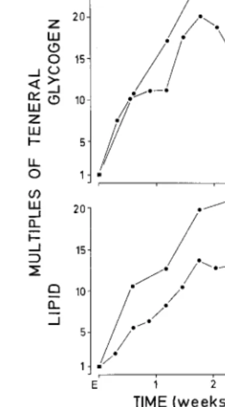 Fig. 5. Regression of lipid content in Þeld host-seeking Ae. vexans as a function of size: Y ⫽ 0.024X⫹0.516 (N ⫽ 45, r 2 ⫽ 0.284, t ⫽ 4.13, P ⬍ 0.001)