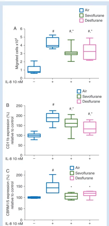 Fig 2 ( A ) Neutrophil transmigration in response to IL-8 in the presence of sevoflurane or desflurane for 1 h