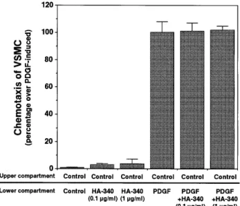 Fig. 4. Effect of HA-340 on the invasion of VSMC through an artificial BM.