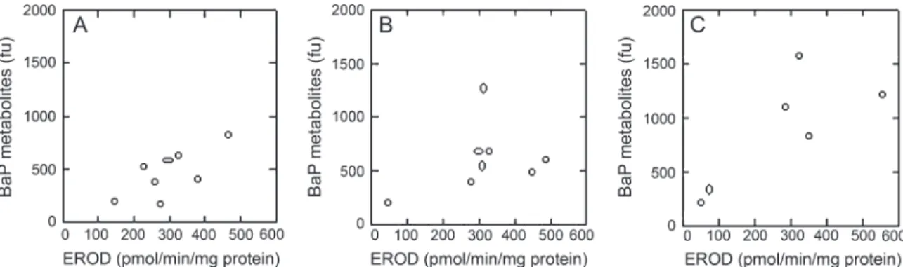 FIG. 2. Amount of BaP metabolites (expressed as arbitrary fu) in bile of trout treated with BaP (25 mg/kg body weight) compared with hepatic EROD activities of the same animals