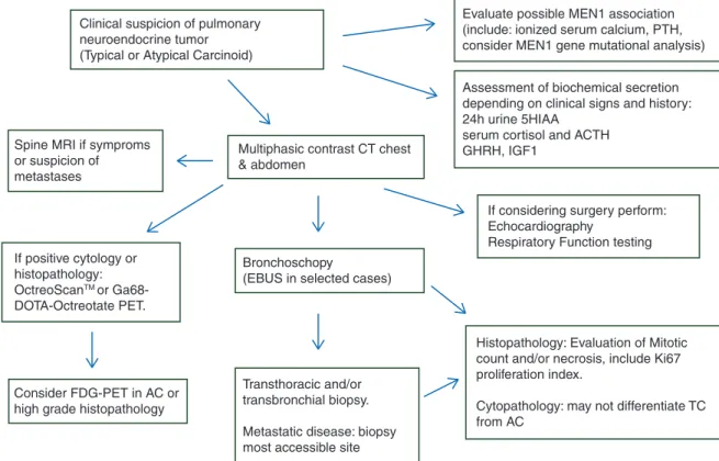 Figure 1. Algorithm for diagnosis of pulmonary neuroendocrine tumor.