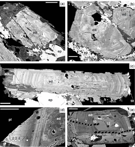 Fig. 5. Back-scattered electron images of amphiboles from the layered series (C 2a layer)