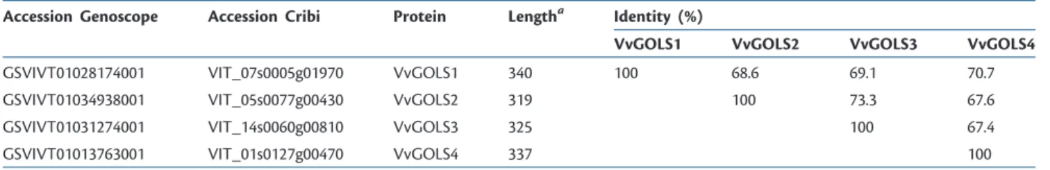 Table 1 Sequence identity among VvGOLS proteins