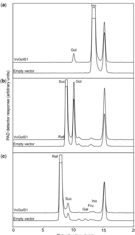 Fig. 5 HPLC-PAD chromatograms showing enzymatic activities of transfected E. coli cell lysates