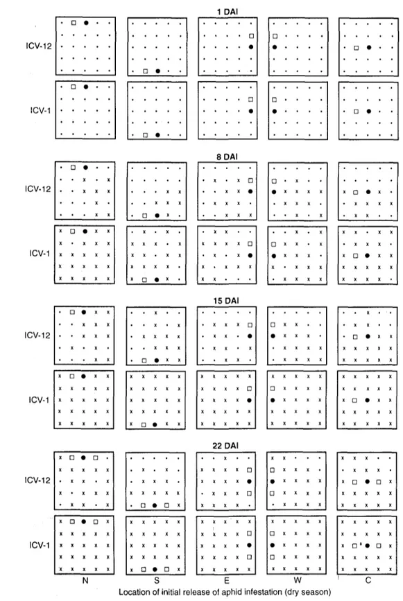 Fig. 2. Dry-season pattern and rate of cowpea aphid infestations on field-grown plants of resistant (cv