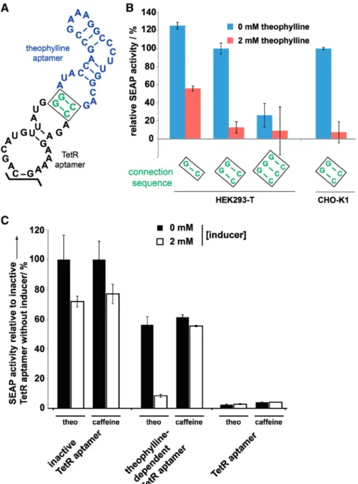 Figure 3. In vivo characterization of the theo-TetR intramer. (A) Nucleotide sequence and secondary structure of the theo-TetR intramer