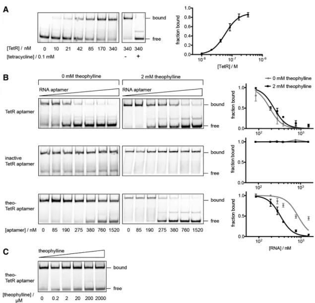 Figure 5. In vitro competition assays of RNA aptamers withCy5-labeled dsDNA tetO for TetR binding