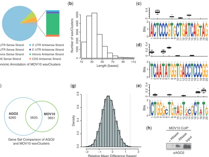 Figure 4. Analysis of MOV10 and AGO2 wavClusters. (a) Genomic annotation of MOV10 wavClusters