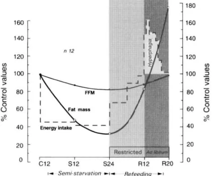 Fig.  2.  Pattern  of  changes  in  energy  intake,  and  in  the  main body  energy  compartments  (i.e