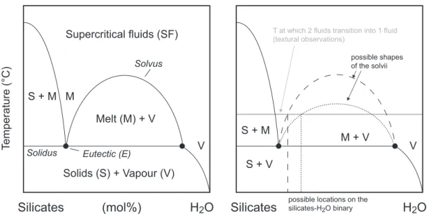 Fig. 7. Schematic subcritical silicate–H 2 O diagram versus temperature at constant pressure (3 GPa) (after Manning, 2004)
