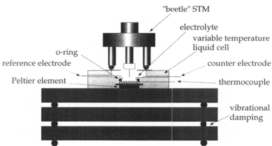Fig. 1. Schematic drawing of the electrochemical temperature-variable STM setup.