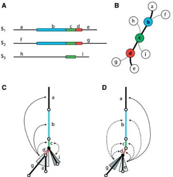 Fig. 4. A) S 1 , S 2 and S 3 are three sequences that share some repeats.