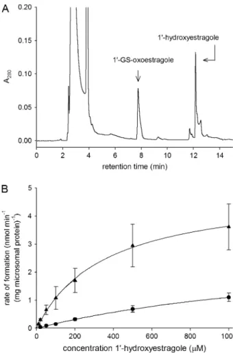 FIG. 5. (A) Chromatographic profile of an incubation with human liver microsomes at a substrate concentration of 500lM 1 # -hydroxyestragole, NAD þ as cofactor and GSH to trap the transient 1#-oxoestragole at an incubation time of 10 min