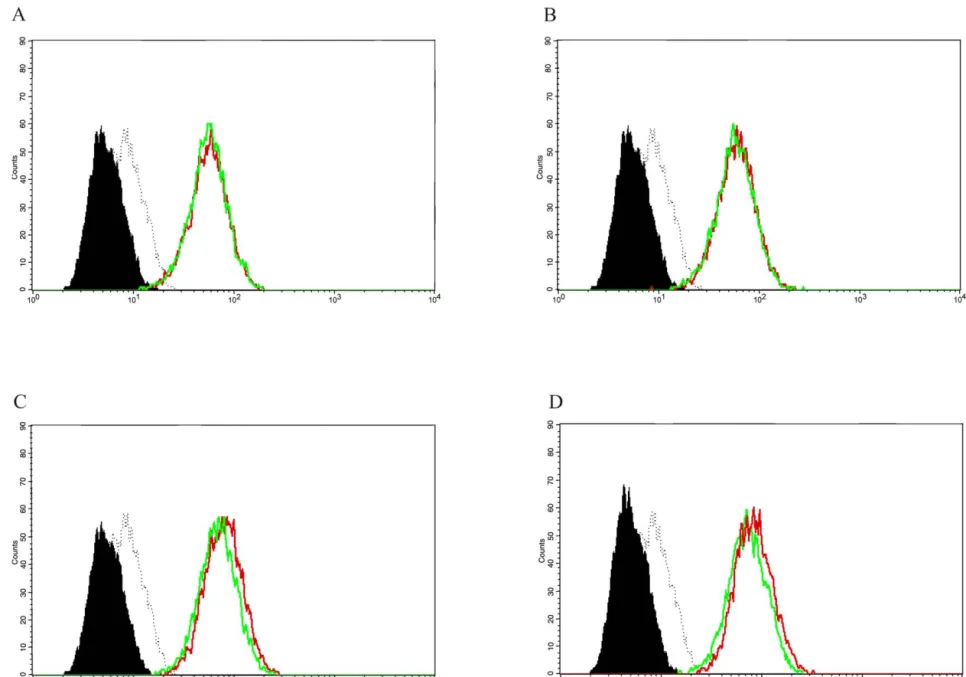 Fig. 6. Effects of PPAR ligands on IFN-g-induced CD40 expression on human endothelial cells