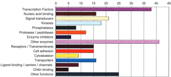 Figure 6. Induction of ectopic eye structures in Xenopus embryos by injection of Drosophila ey and toy mRNA at the two-cell stage (Onuma et al
