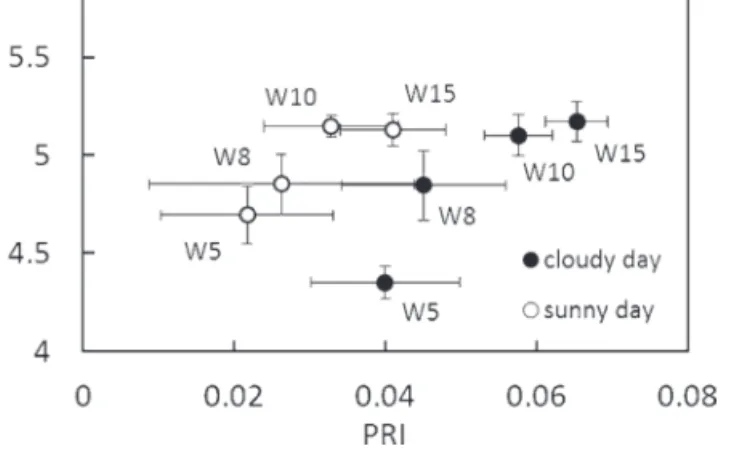 Fig. 7.  Relationship between the de-epoxidation state of xanthophyll cycle pigments (DEPS) and area under the curve (AUC) and  maximal band depth (MBD) of continuum-removed reflectance of the fifth and eighth whorl needles (A and B, n=42) and the 10th  wh