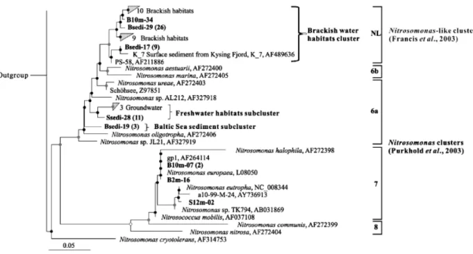 Fig. 3. Continued.