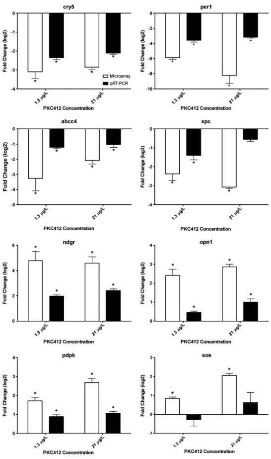 FIG. 1 Comparison of gene expression in zebrafish larvae determined by microarray (n ¼ 4 replicates, 80 eleuthero-embryos pooled, white bars) and qRT-PCR (n ¼ 6, 80 eleuthero-embryos, black bars) after exposure to 1.3 and 21 lg/l PKC412, respectively