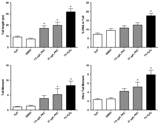 FIG. 3 Comet assay in zebrafish eleuthero-embryos exposed to 1.6 and 31 lg/l PKC412. (A) Tail length, (B) percent DNA in Tail, (C) Tail Moment, and (D) Olive Tail Moment were calculated using CometScore