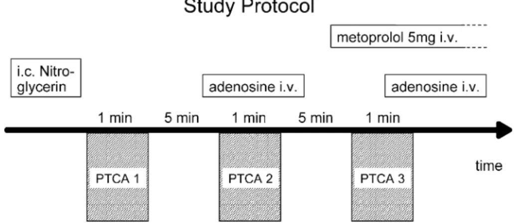 Fig. 2 Study protocol: Prior to coronary flow measurements, 200 lg nitroglycerin is administered for maximal vasodilatation