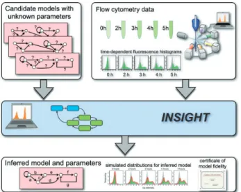 Fig. 1. The INSIGHT algorithm and its operation. The proposed ap- ap-proach uses time-dependent flow cytometry histograms to determine  un-known parameters in stochastic models of gene regulation