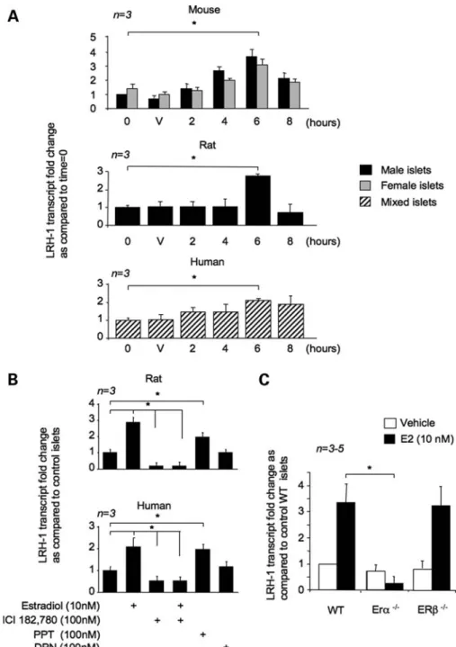 Figure 2. 17b-estradiol (E2) stimulates LRH-1 expression in islets via ERa (A) Isolated mouse, rat and human islets were incubated for 6 h with DMSO (vehicle) or for different times with 10 nM 17b-estradiol
