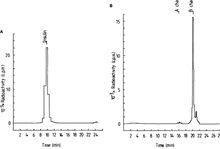 Figure 1. Reversed-phase HPLC of (A)  ( L - ^ H J A l a ^ i n s u l i n and (B) (L-[3- 3 H]Ala B3O )insulin after oxidation in perfornuc acid The elution position of standards detected by absorption at 214 nm is indicated The minor peak eluting after the m