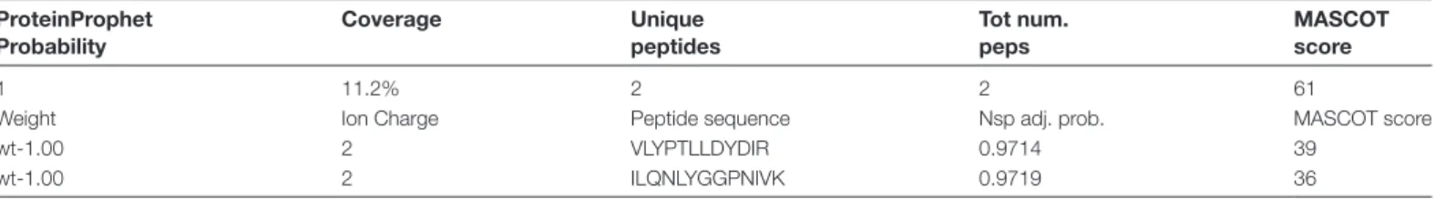 Table 1.  Casein kinase II alpha subunits encoded in the rice  genome