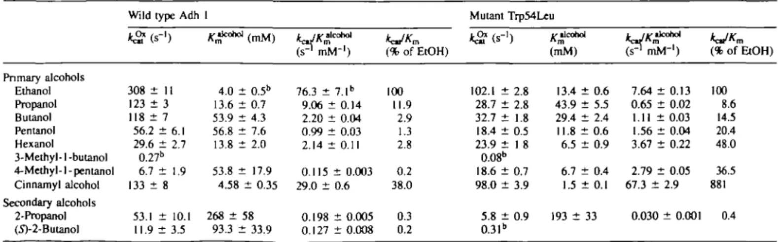 Table I shows the kinetic parameters for ethanol oxidation and acetaldehyde reduction catalysed by wild type Adh 1 and the W54L mutant