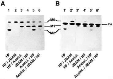 Fig. 5. Analysis of the M2* glycolipid of gpi10. [ 3 H]Ins-labeled M2* from 839 was purified as in Figure 4