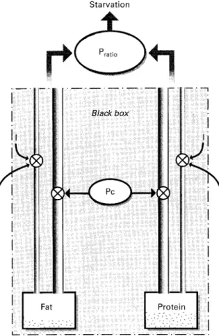 Fig. 1. Inside the black box of body energy-partitioning during starva- starva-tion. Schematic diagram encapsulating the concept of an individual’s partitioning characteristic (Pc) between the two main energy  compart-ments of the body (protein and fat), a