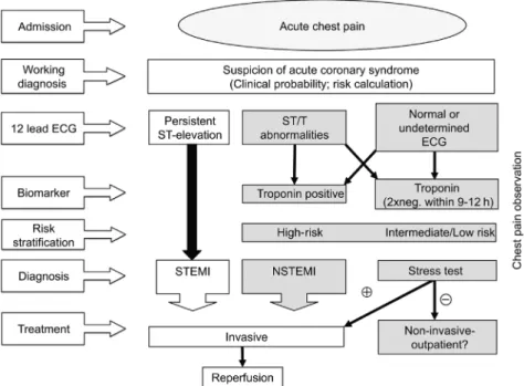Figure 1 Suggested algorithm for decision-making in patients presenting with acute chest pain to the emergency department.