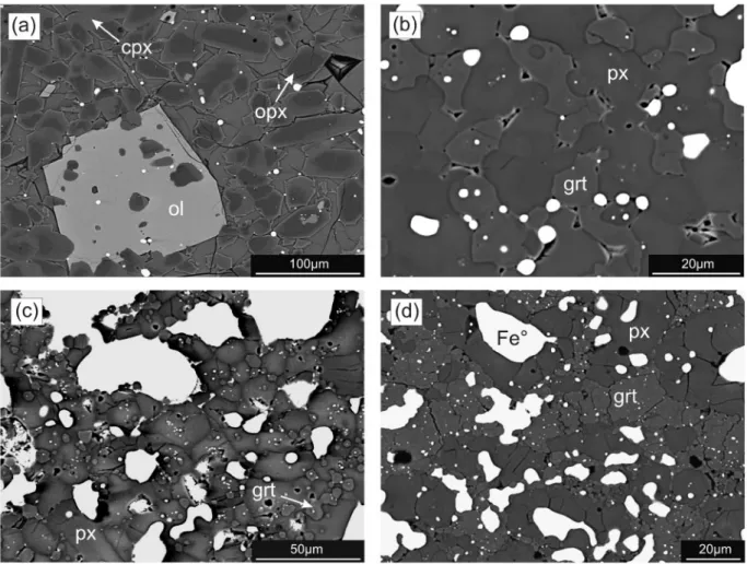 Figure 1 shows BSE images of typical run products. The 1GPa run (12208C) crystallized olivine and two pyroxenes.