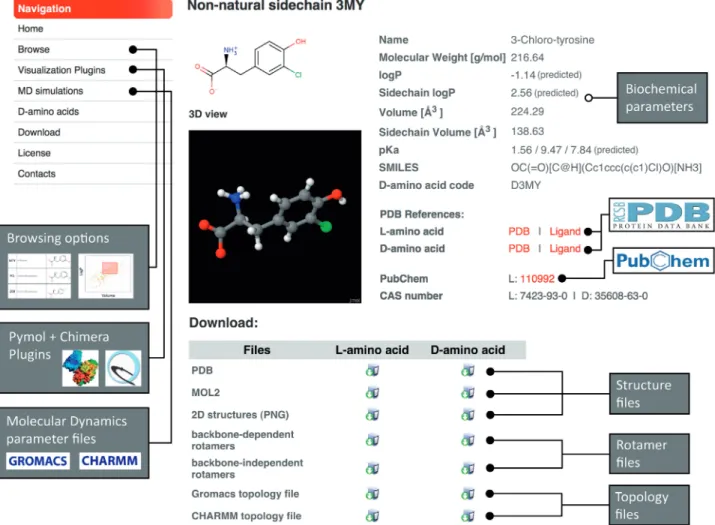 Figure 1. Sidechain general information page. 2D and 3D views of the full amino acids are provided