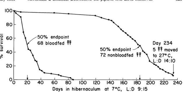Fig. 3. Survival of diapausing Cx. pipiens that had been fed 1% sucrose and a single blood meal compared with nonblood-fed females fed only 10% sucrose before being transferred to simulated winter conditions and placed on a water diet.