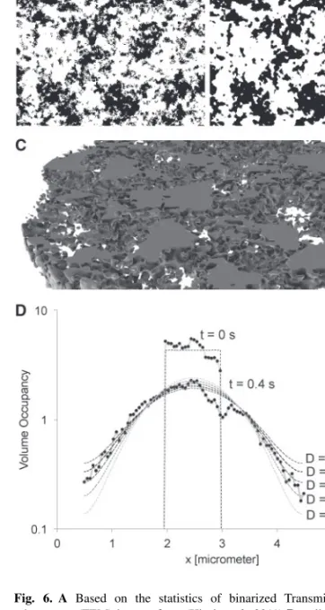 Fig. 5. A Obstacles in the cell (from Transmission electron microscopy image) and simulation grid