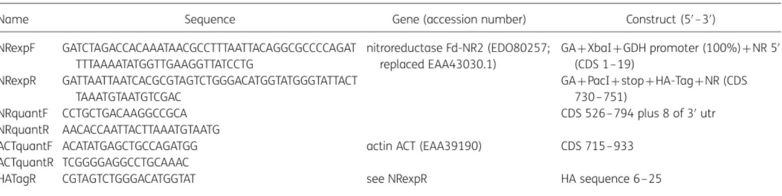 Table 1. Overview of primers used in this study