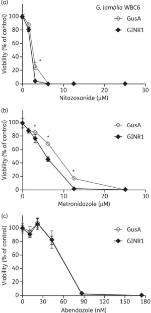 Figure 1. Overexpression of G. lamblia nitroreductase (GlNR1) in transgenic G. lamblia WBC6