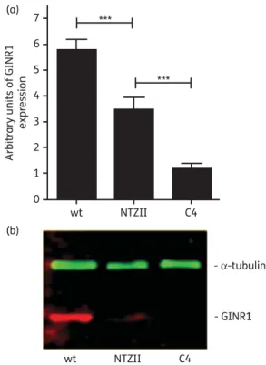 Figure 3. Susceptibility of E. coli BL21, expressing GusA or GlNR1 to nitazoxanide (NTZ) and metronidazole (MTZ)